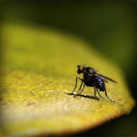 /album/vesikacon/photolia-a07-jpg/